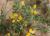 Img.VTax861.Ex3.Img3