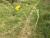 Img.VTax872.Ex1.Img1