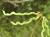 Img.VTax872.Ex1.Img3