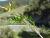 Img.VTax872.Ex1.Img6