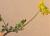 Img.VTax872.Ex1.Img9