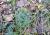 Img.VTax872.Ex2.Img1