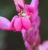 Img.VTax875.Ex1.Img1