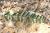 Img.VTax875.Ex1.Img2