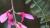 Img.VTax875.Ex1.Img3