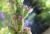 Img.VTax885.Ex4.Img4