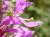 Img.VTax885.Ex4.Img5