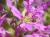 Img.VTax885.Ex4.Img6