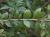 Img.VTax891.Ex2.Img1