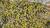 Img.VTax936.Ex1.Img2