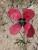 Img.VTax958.Ex2.Img1