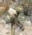 Img.VTax958.Ex2.Img2