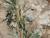 Img.VTax958.Ex2.Img3