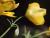 Img.VTax964.Ex1.Img1