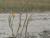 Img.VTax965.Ex1.Img3
