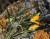 Img.VTax965.Ex2.Img2