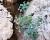 Img.VTax972.Ex1.Img1