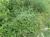 Img.VTax991.Ex2.Img1
