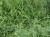 Img.VTax991.Ex2.Img2