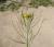 Img.VTax997.Ex1.Img1