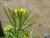 Img.VTax997.Ex1.Img2
