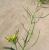 Img.VTax997.Ex1.Img3