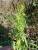 Img.VTax997.Ex1.Img5