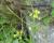 Img.VTax997.Ex2.Img1