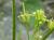 Img.VTax997.Ex2.Img2