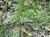 Img.VTax997.Ex2.Img6