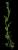 VTax1079.imgprincipal