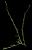 VTax1136.imgprincipal