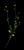VTax1178.imgprincipal