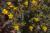 VTax1313.imgprincipal