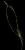 VTax2045.imgprincipal