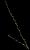 VTax2096.imgprincipal