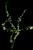 VTax2642.imgprincipal