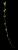 VTax2692.imgprincipal