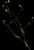 VTax2840.imgprincipal