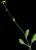 VTax3434.imgprincipal