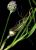 VTax3567.imgprincipal