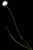 VTax3710.imgprincipal