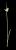 VTax3720.imgprincipal