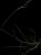 VTax3849.imgprincipal