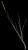 VTax3861.imgprincipal