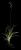 VTax3862.imgprincipal