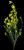 VTax578.imgprincipal