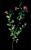 VTax683.imgprincipal