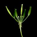 Img.VTax1516.ExN.Img9