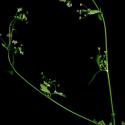 Img.VTax1577.ExN.Img8